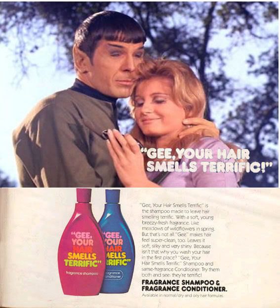spockgeeyourhair2.jpg