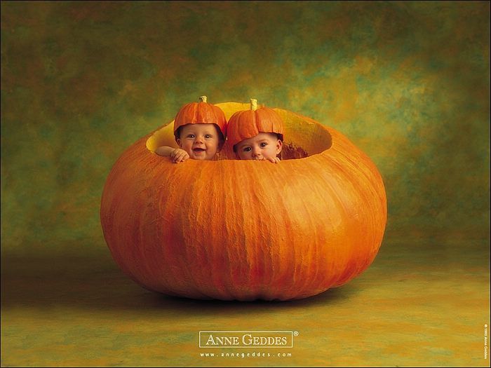 pumpkinbabies_zps794f6d89.jpg