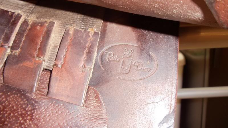 Collegiate english saddle reviews Collegiate english saddle reviews