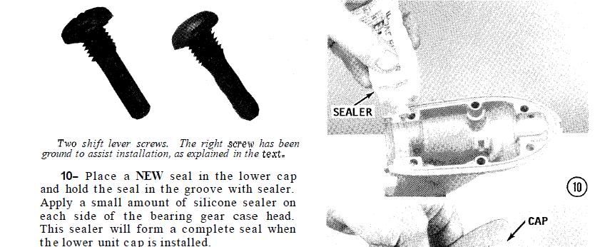 Sealerorwhat.jpg