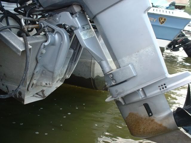 pontoon3.jpg