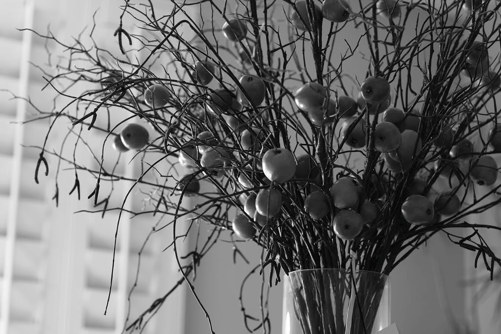 IMAGE: http://i31.photobucket.com/albums/c391/dynoflash/IMG_1402.jpg