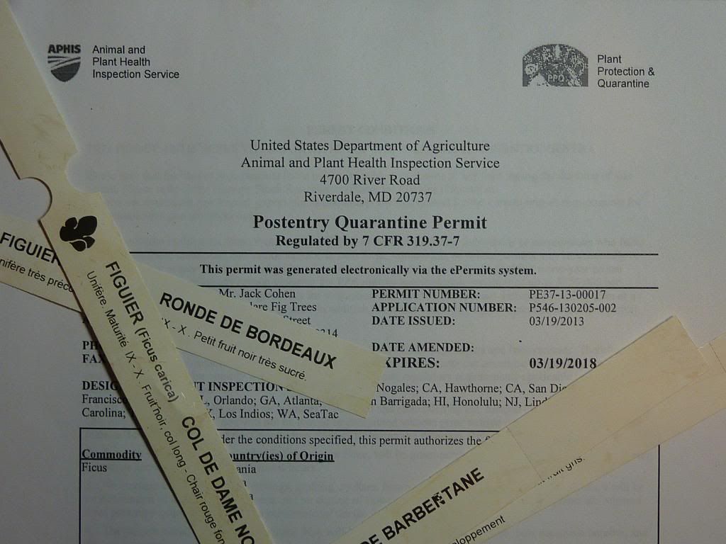 [P1040244_zpsa658db17]