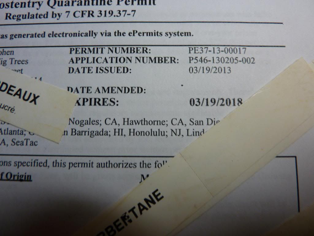 [P1040257_zps9602bcf3]