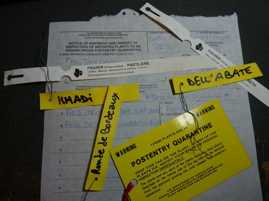 [P1040271_zps4d1113fe]