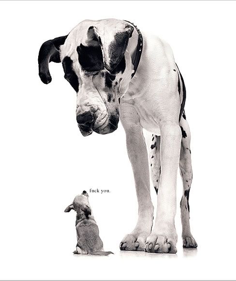 Image hosting by Photobucket