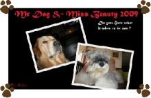 Mr Dog & Miss Beauty 2009