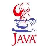 JAVA VM MICROSOFT java vm microsoft: