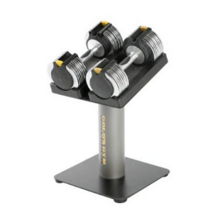 best adjustable dumbbells for the price