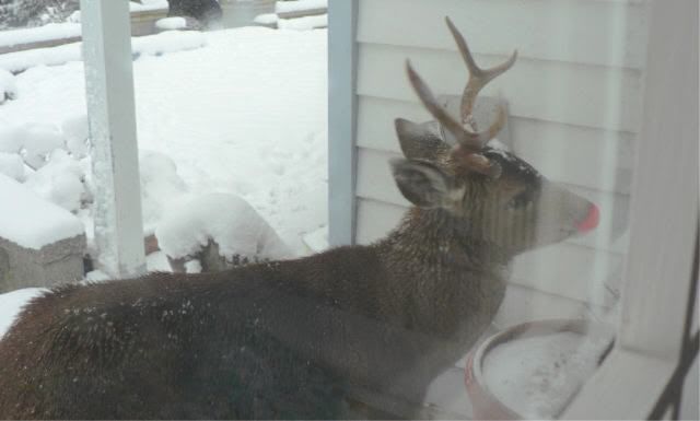 Photobucket - Video and Image Hosting