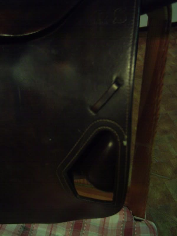 PICT0008.jpg