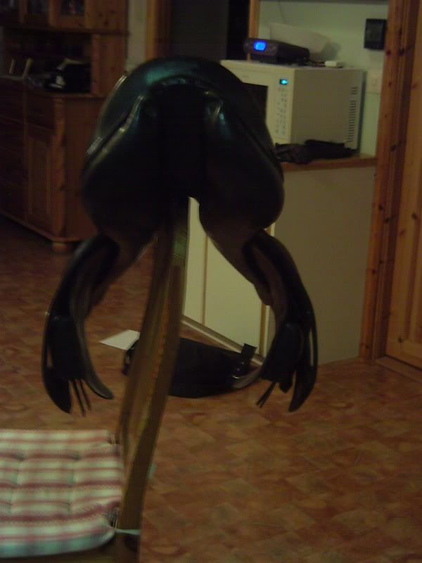 PICT0010.jpg