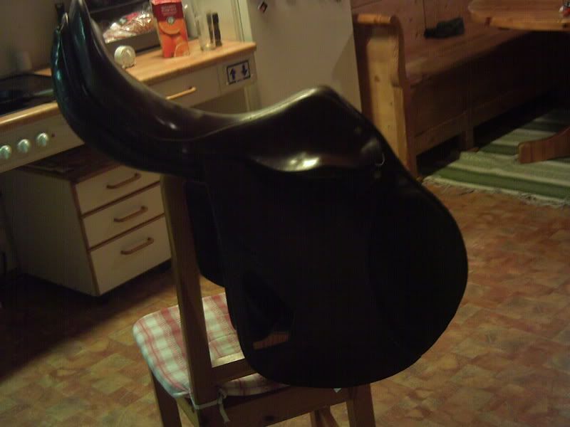 PICT0011.jpg