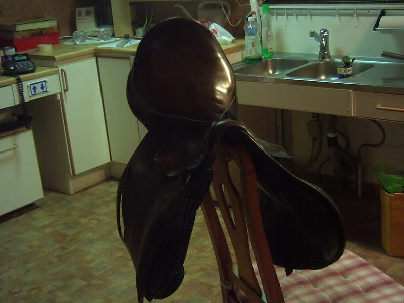 PICT0012.jpg