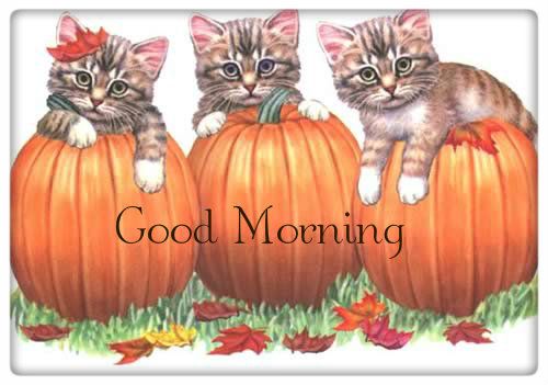 fallpumpkinswithkittens.jpg