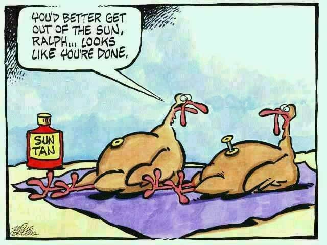 funny turkey pictures. funny turkey