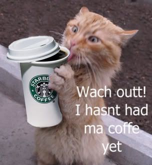 coffee_cat.jpg