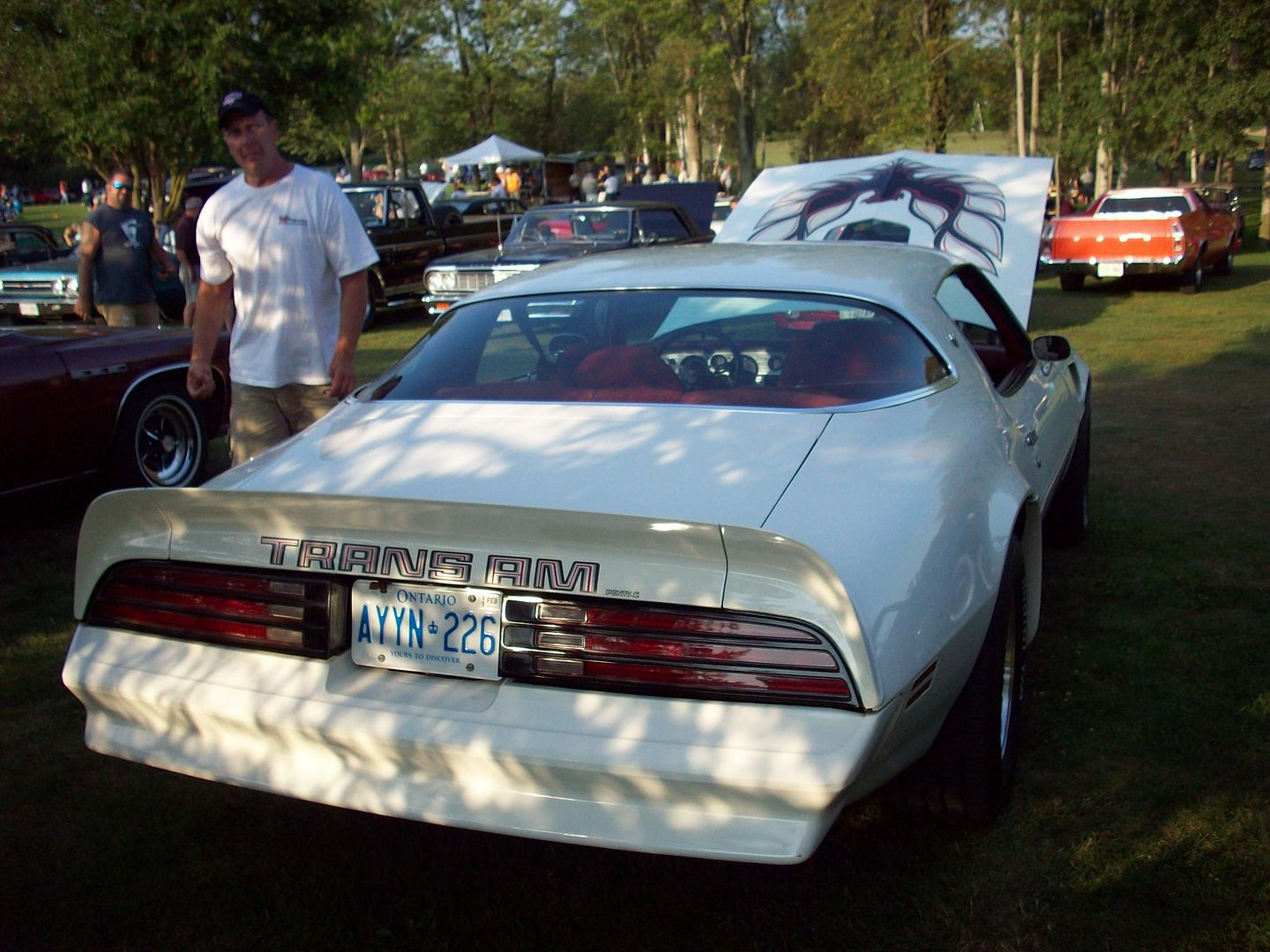 PlunkettCruise023.jpg