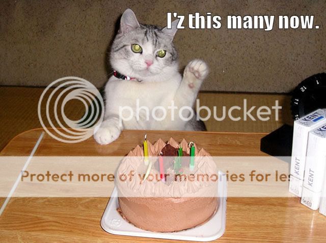 https://i31.photobucket.com/albums/c352/hillaryclaire/cat%20macros/BirthdayCat.jpg