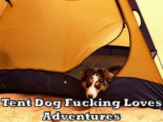 https://i31.photobucket.com/albums/c369/blueblarg/FuckingLovesAdventures.jpg