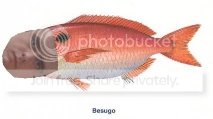 besugo.jpg
