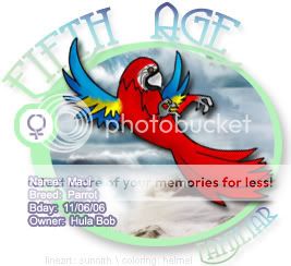 User Image