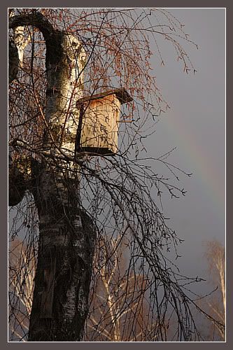 Image hosting by Photobucket
