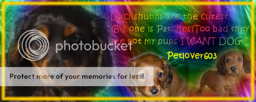 Dachshunds.png