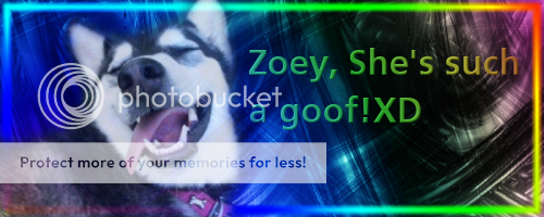 Zoeysiggeh.png