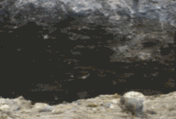 cyberninja14rv16xh8lc.gif