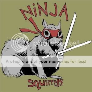 Ninja Squirrel Photo by LordRatspeaker | Photobucket