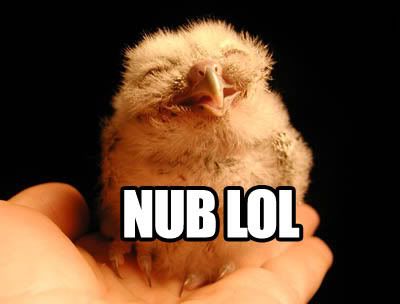 https://i31.photobucket.com/albums/c398/FFLink13/NUB_LOL.jpg