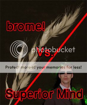 https://i31.photobucket.com/albums/c398/FFLink13/bromevsSM.jpg